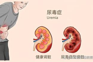 半岛电竞官方网站下载手机版苹果截图3